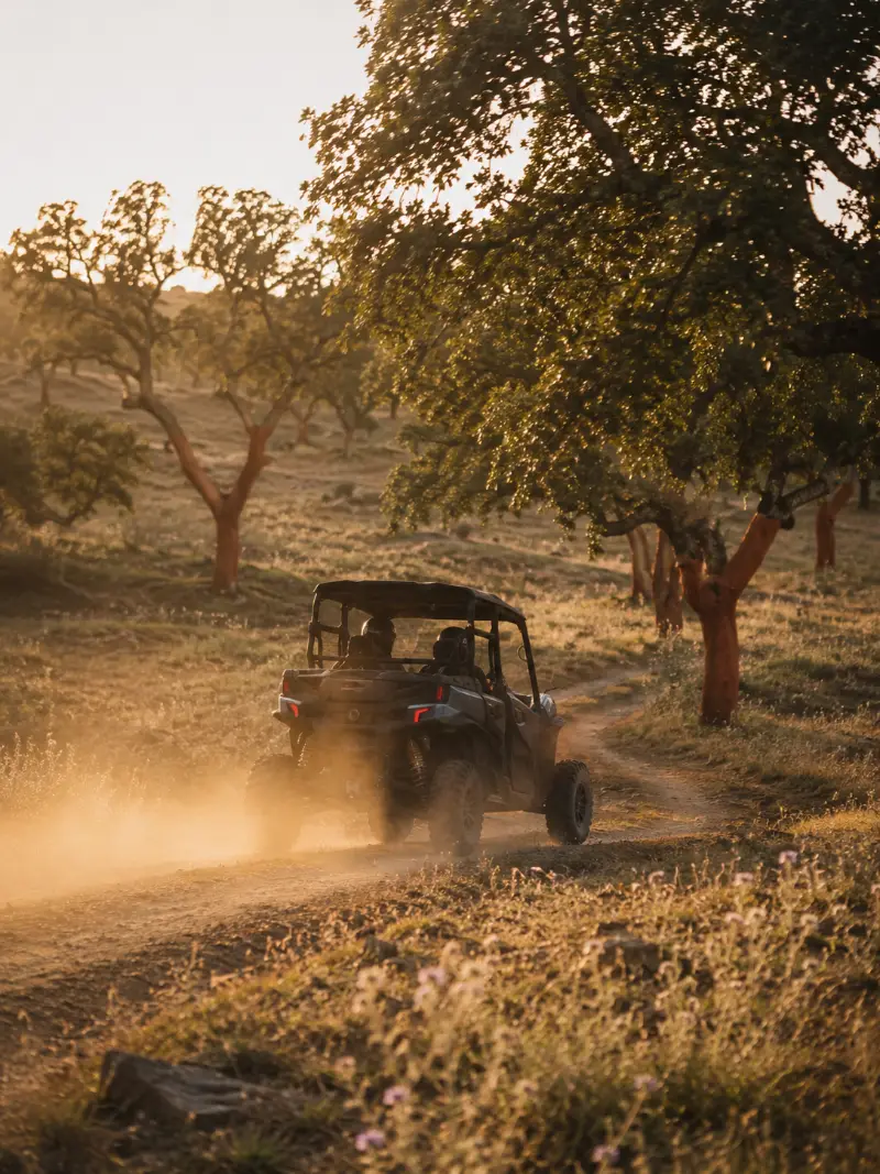 Buggy at Herdade das Onzenas