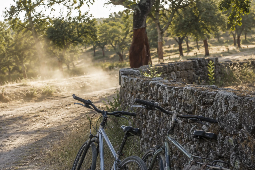 Bicicletas à disposição de quem cá fica