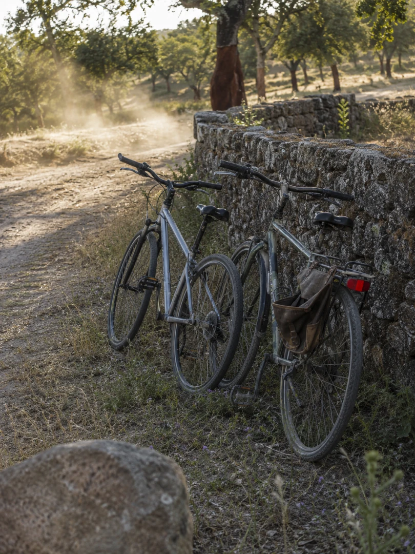 Bicycles at Herdade das Onzenas