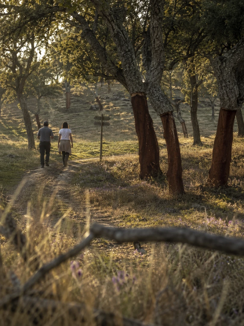 Walking trail at Herdade das Onzenas