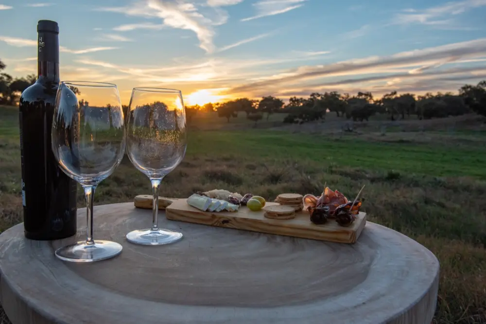 Tasting at Herdade das Onzenas