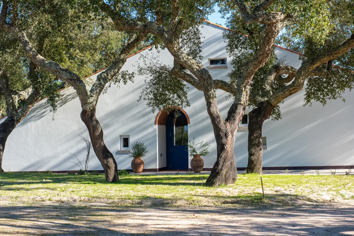 The white facade of Herdade das Onzenas among cork oaks