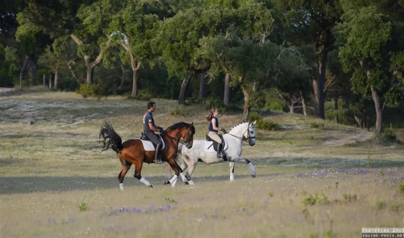 Cavaleiros a passear pelos trilhos do montado